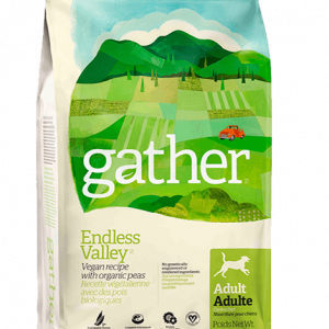 gather-endless-valley-dogs