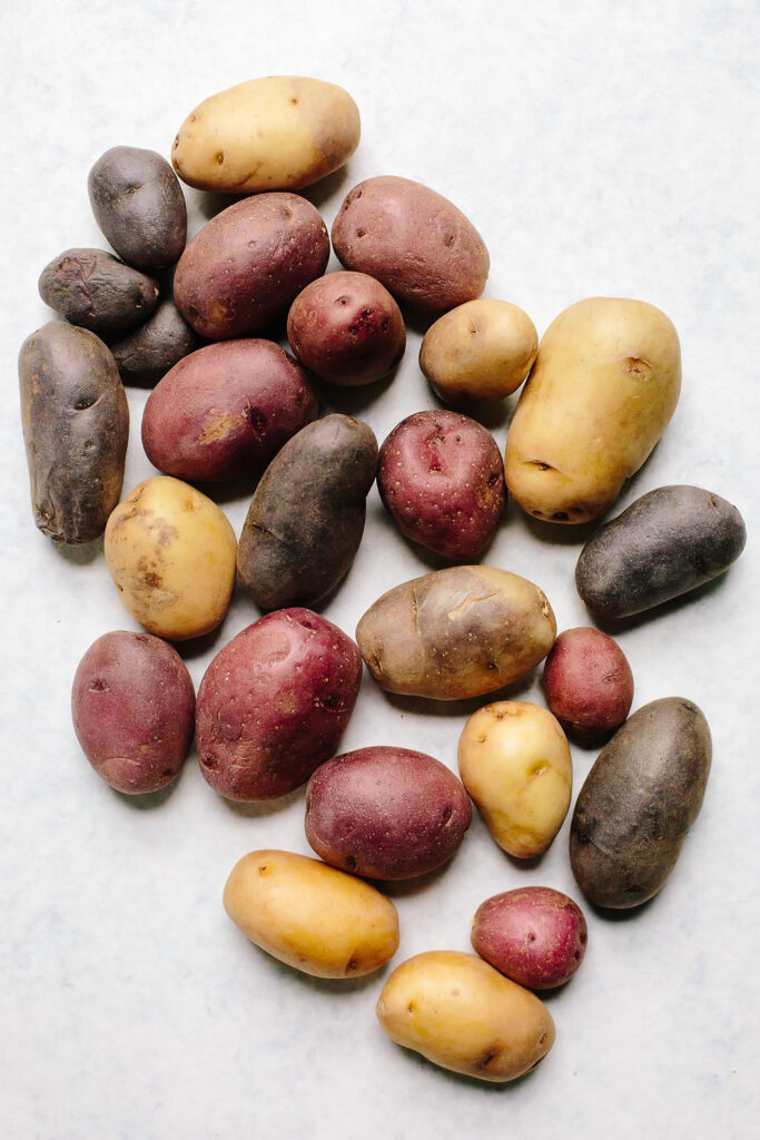 potato variety