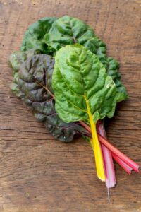 Rainbow Chard