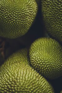 Jackfruit