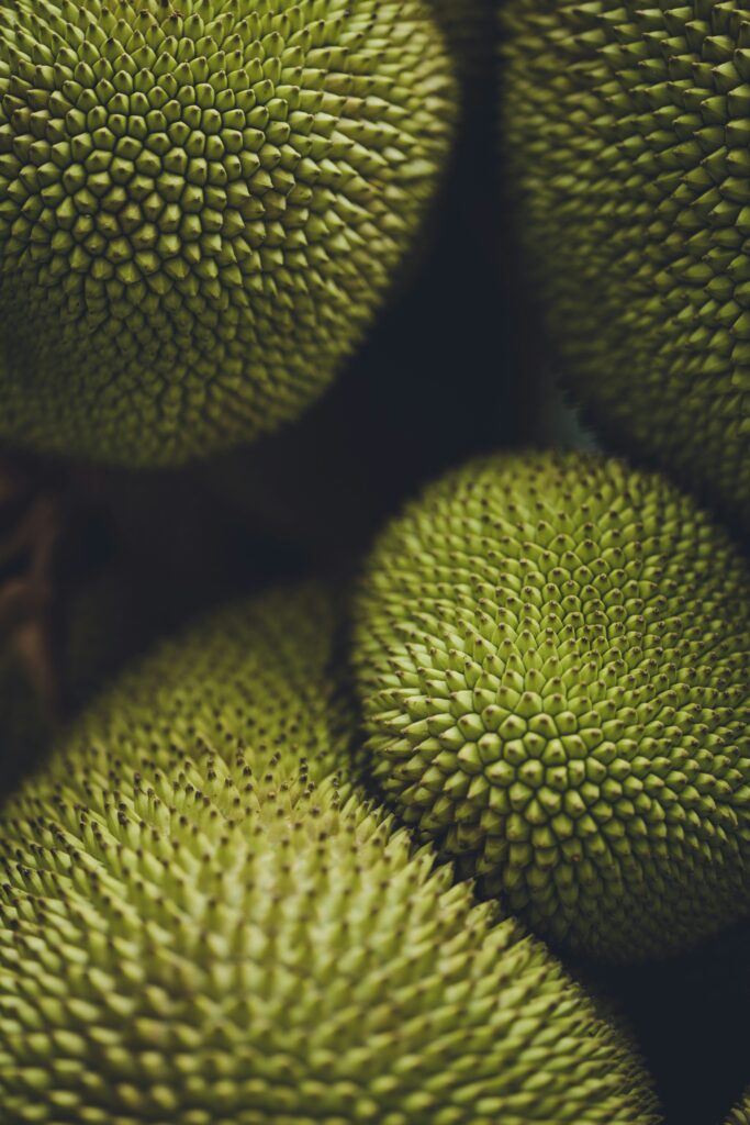 Jackfruit