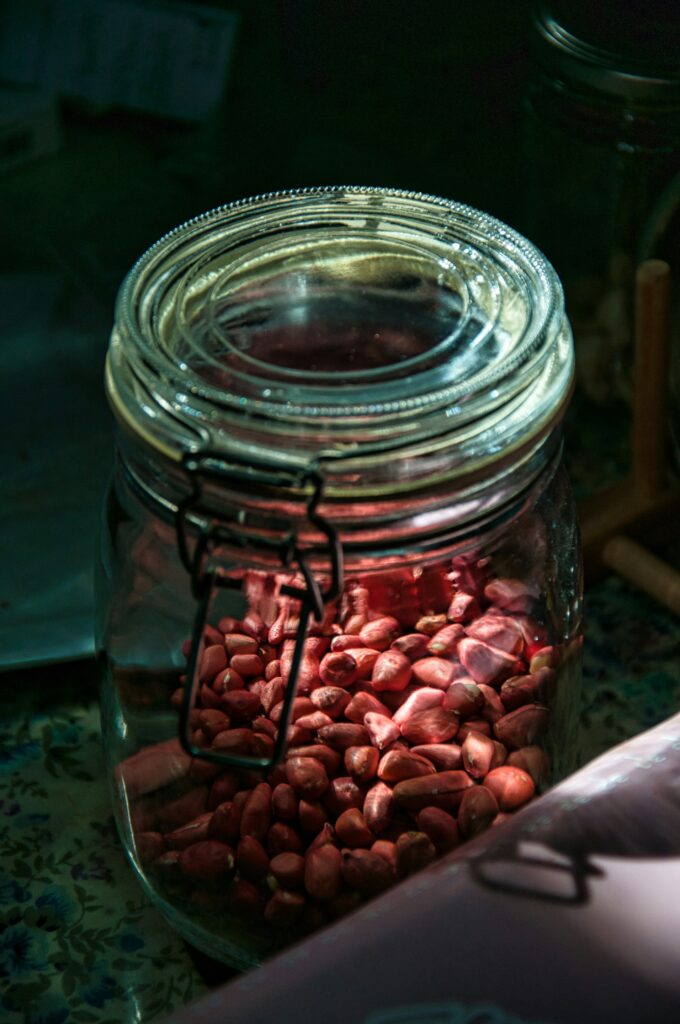pinto beans