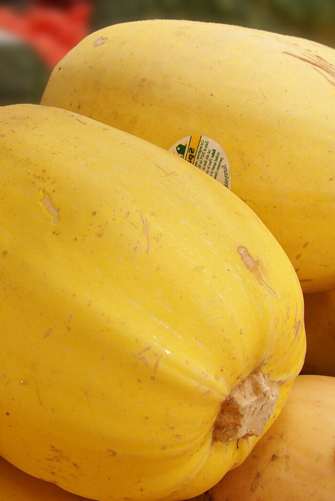 Spaghetti Squash