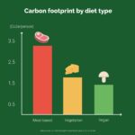 Curbing our Carbon Footprint